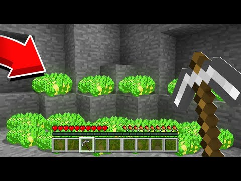 $1000 ENDLESS MONEY RAIN!! 😱 - Minecraft