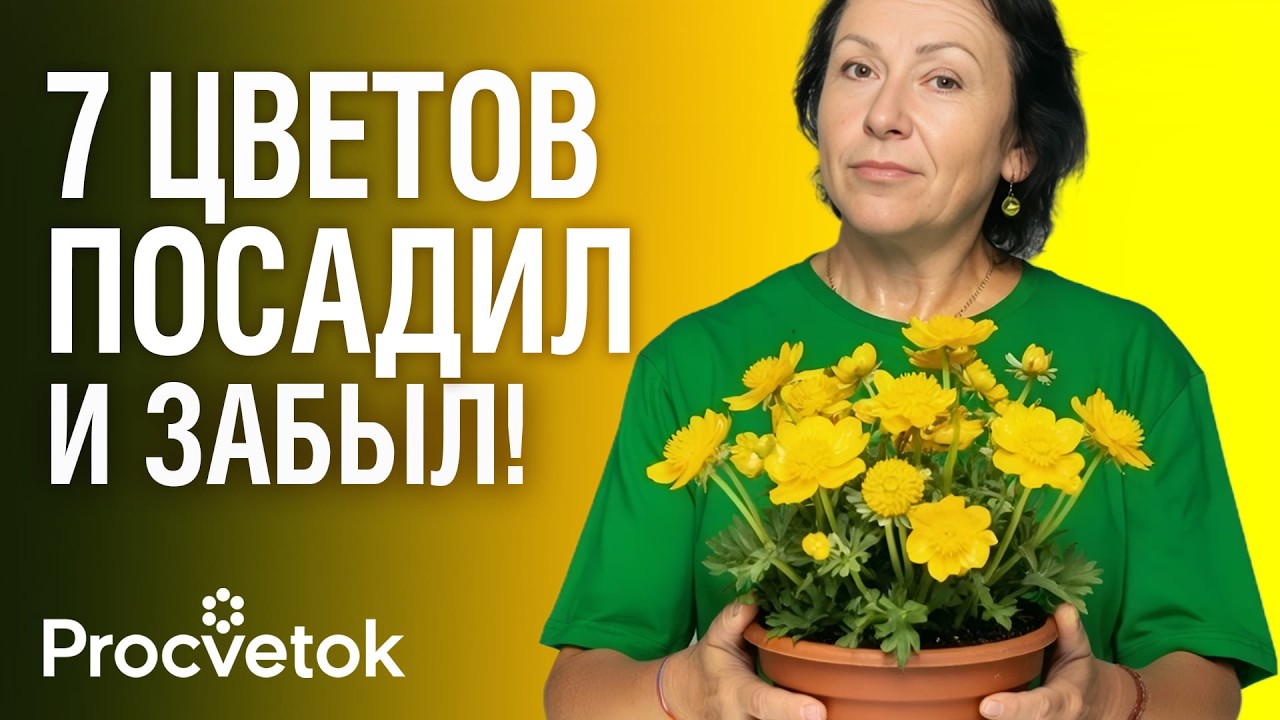 ПОСАДИЛ И УХОДИ! 7 цветов, которые растут сами, а выглядят потрясающе!