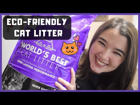 TRYING OUT WORLD'S BEST CAT LITTER | FLUSHABLE CAT LITTER