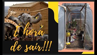 Chegou a hora de tirar as Rosas do deserto da Arca ops isto  estufa