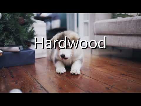 Holiday Video 2022