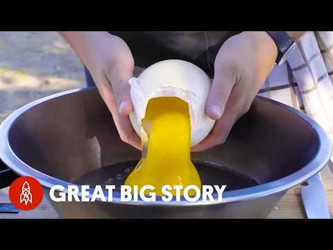 世界各地的雞蛋菜餚 (Egg Dishes From Around the World)