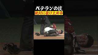 【改めて感謝…】捕手は本当に本当に大変なお仕事 #shorts
