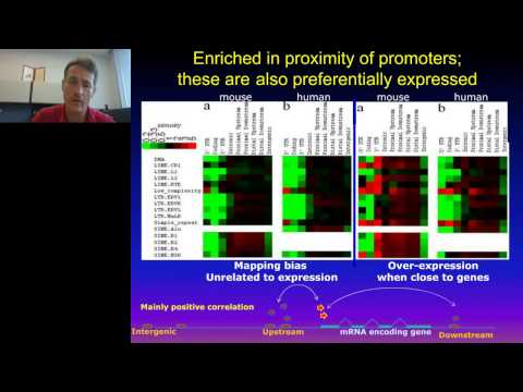 Piero Carninci - Complexity of Mammalian Transcription