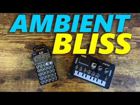 NTS-1 and PO-32 Ambient Patch Left me Speechless!