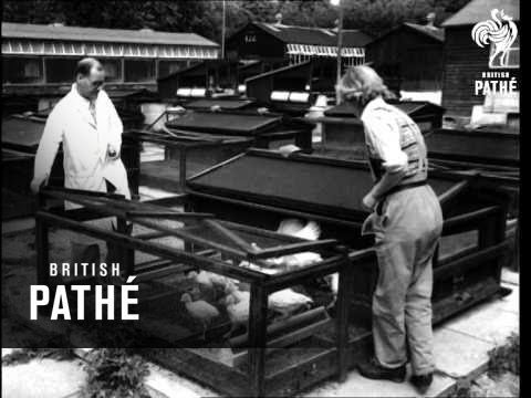 Mobile Laboratory (1952)