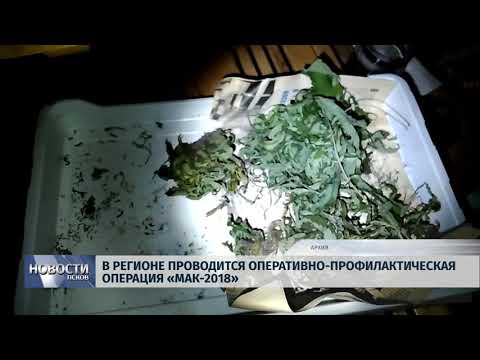 Новости Псков 13.08.2018 # В регионе проводится оперативно-профилактическая операция «Мак-2018»