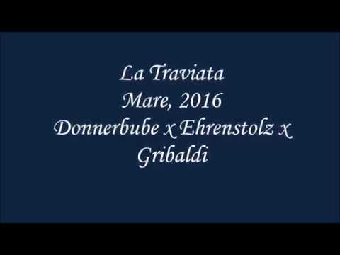 La Traviata, mare 2016, Donnerbube x Ehrenstolz x Gribaldi