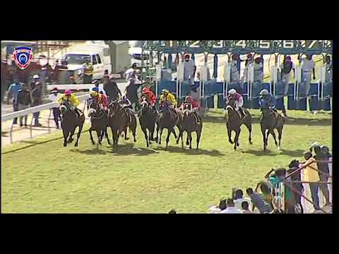 RM31 R5 | All About The Bass | M.Nunes