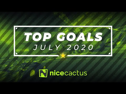 Nicecactus Top Goals - July 2020