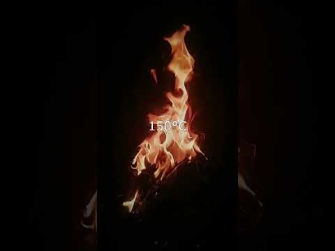 Conocías este ser INDESTRUCTIBLE. TARDÍGRADOS 😲🐛 #shorts #curiosidades