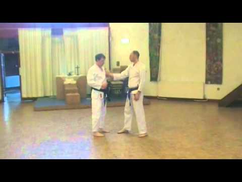 Kata Bunkai: Pinan Nidan / Heian Shodan Flow Drill