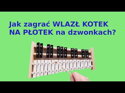 WLAZŁ KOTEK NA PŁOTEK 🎶 - Dzwonki chromatyczne (cymbałki) Instrumental cover & tutorial #shorts