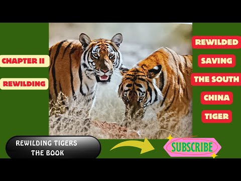 Rewilded - Saving the South China Tiger Chapter 2: Introduction