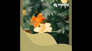 Download lagu kayu pun punya mata mp3