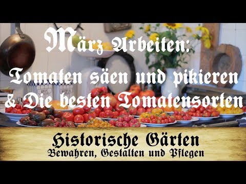 , title : 'Arbeiten im März: Tomaten säen und pikieren - Die besten Tomatensorten'