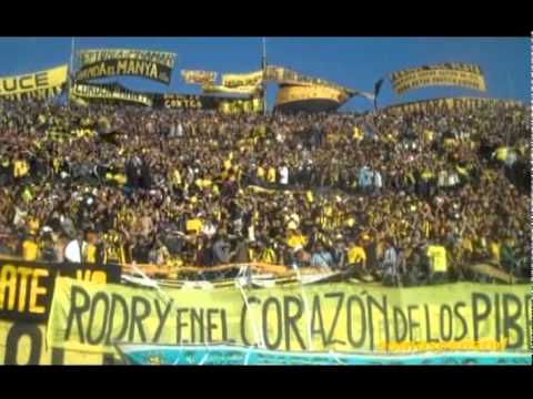 "Peñarol vs hijos 08 05 2011" Barra: Barra Amsterdam &bull; Club: Peñarol