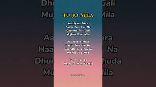 Tu Jo Mila. #trywithyourownvoice #karaoke #songlyrics #tujomila #lofibeats #fyp #bgm #fypviral #song