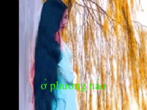 Theo ngọn gió lùa Sheet - Tâm Thư