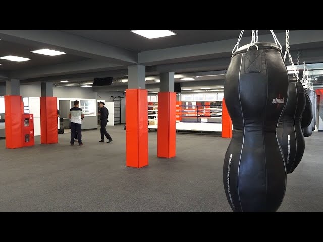 Занятия боксом для ангарских школьников станут ещё доступнее.