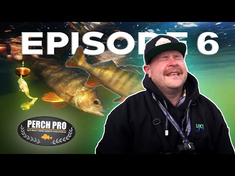 PERCH PRO 8 - Episode 6 (Deutsche untertitel)