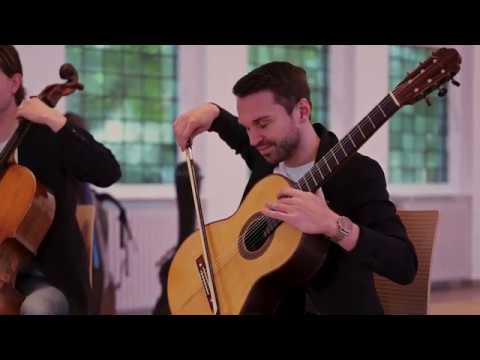 MIRROR STRINGS - Maximilian Guth: BraadiCardia