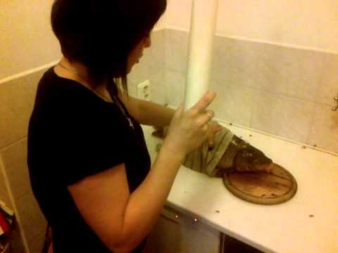 VraÅ¾da kapra 2012 - YouTube