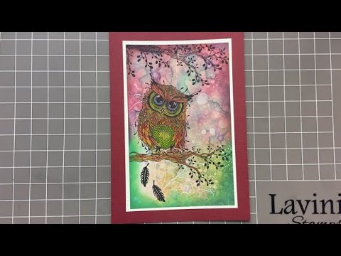 Gorgeous his with #Lavinia Stamps