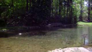 preview picture of video 'Rolator Park, Cave Spring, GA'