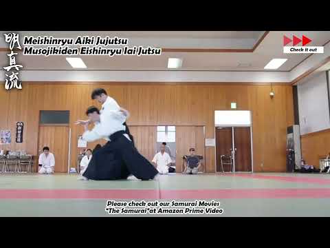 Meishinryu Aikido techniques 明真流　合気道の稽古 #aikido #合気道 #天照会　2025 0426 01