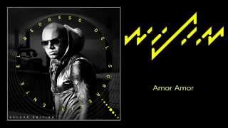 Wisin   Amor Amor Audio
