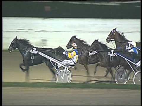 Trotto 15/11/2015 - 6° corsa