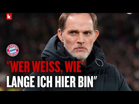 Tuchel genervt: Diese Frage zu Sebastian Hoeneß schmeckt ihm überhaupt nicht  | FC Bayern
