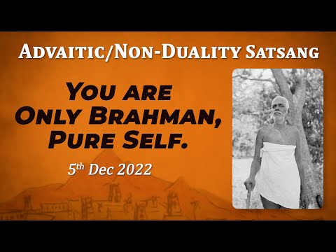 486. Bhagavan Ramana Satsang -You are only Brahman, Pure Self