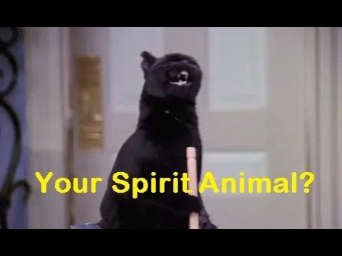 Salem Saberhagen Spirit Animal