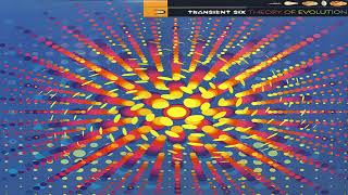 V.A. - Transient Six (Theory Of Evolution) | Full Vinyl Mix