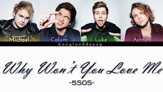 5SOS - Why won&#39;t you love me // color coded lyrics