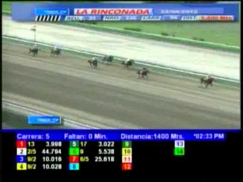 Resumen, Domingo, 22 de Abril de 2012 - La Rinconada