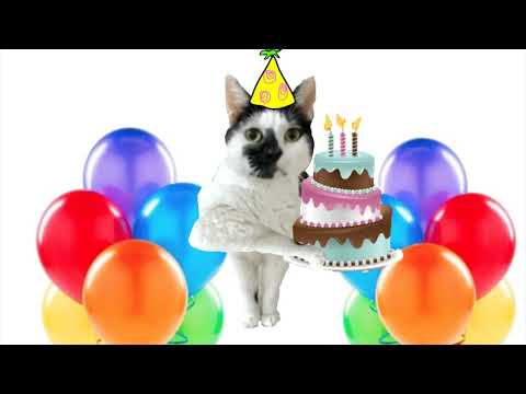 Noreen"s Birthday animation