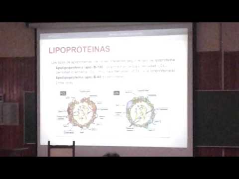 Clase de fármaco 17 y 18 - HIPOLIPEMIANTES, ANTICONCEPTIVOS ORALES (parte 1)