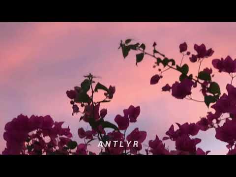 KILLER MANTIS - STAGE w/ DEMXNSTR8