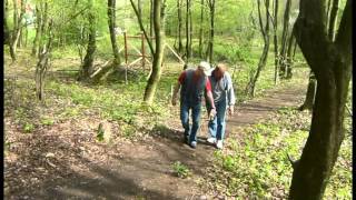 preview picture of video 'Lauenstein: Naturpfad der Sinne'