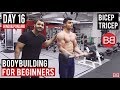 | Day 16 | Bicep & Tricep Split Workout for Beginners! (Hindi / Punjabi)