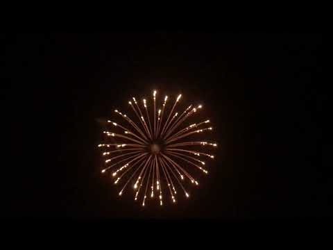 7  4''Cylinder  Gold strobe chrys