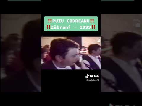 Puiu condearu zabrani 1990