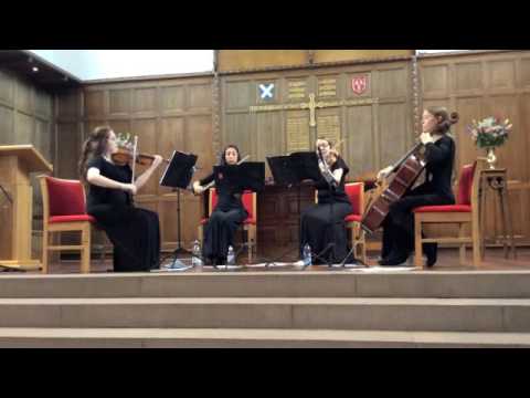 Ashokan Farewell - Camilli String Quartet