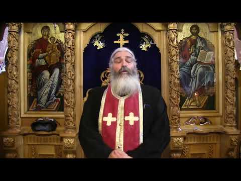 Duminica a XIII-a după Rusalii - Pilda lucrătorilor răi - Parintele Calistrat  2017