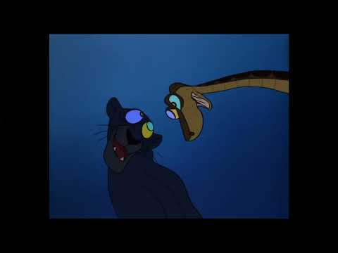 Mowgli Won't Be Here In The Morning