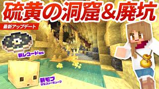 新バイオーム硫黄の洞窟を探索！新廃坑でレコードとサルファーキューブも大量発見！！【マイクラ実況 マインクラフト】60