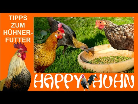 , title : 'E11 Artgerechte Hühnerfütterung - HAPPY HUHN, Allgemeines zu Futter und Wasser (Hühner füttern)'